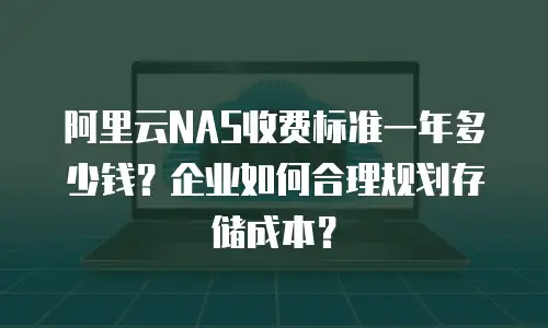 阿里云NAS收费标准一年多少钱？企业如何合理规划存储成本？