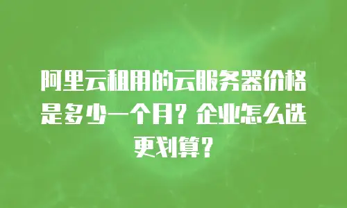 阿里云租用的云服务器价格是多少一个月？企业怎么选更划算？