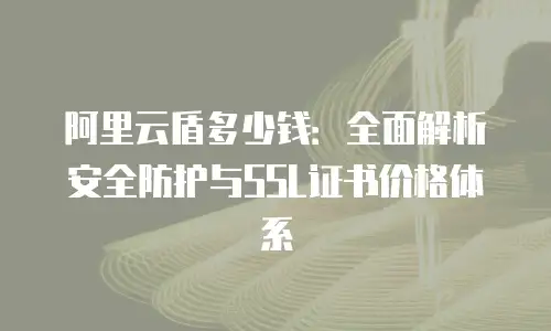 阿里云盾多少钱：全面解析安全防护与SSL证书价格体系