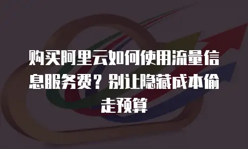 购买阿里云如何使用流量信息服务费？别让隐藏成本偷走预算
