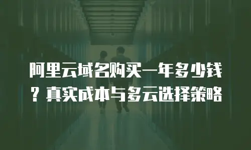 阿里云域名购买一年多少钱？真实成本与多云选择策略