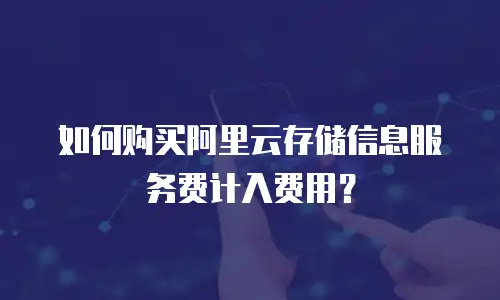 如何购买阿里云存储信息服务费计入费用？