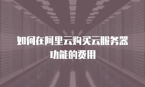 如何在阿里云购买云服务器功能的费用