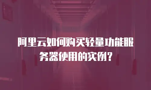 阿里云如何购买轻量功能服务器使用的实例？
