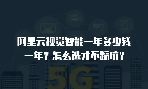阿里云视觉智能一年多少钱一年？怎么选才不踩坑？