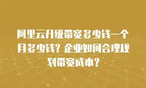阿里云升级带宽多少钱一个月多少钱？企业如何合理规划带宽成本？