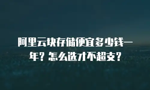 阿里云块存储便宜多少钱一年？怎么选才不超支？