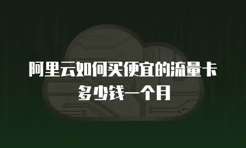 阿里云如何买便宜的流量卡多少钱一个月