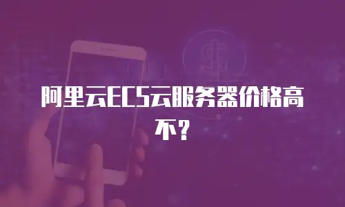 阿里云ECS云服务器价格高不？