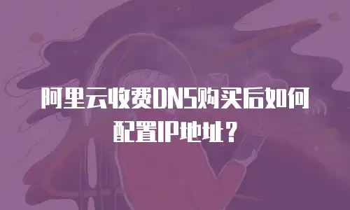 阿里云收费DNS购买后如何配置IP地址？