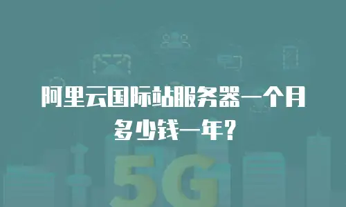 阿里云国际站服务器一个月多少钱一年？
