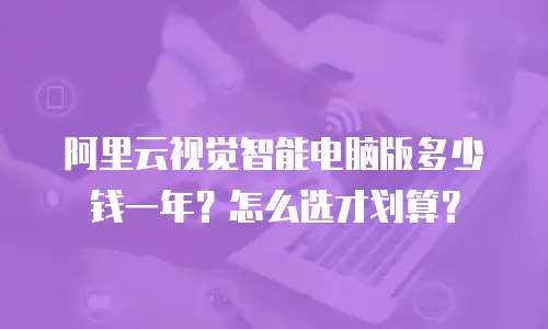 阿里云视觉智能电脑版多少钱一年？怎么选才划算？