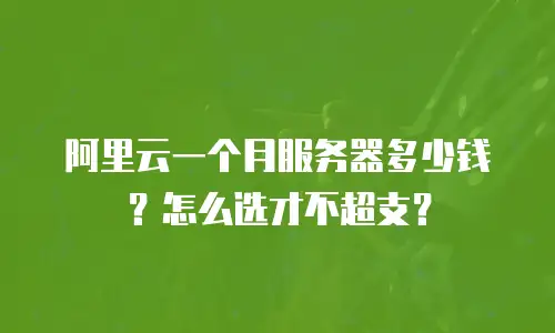 阿里云一个月服务器多少钱？怎么选才不超支？