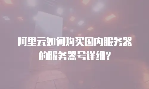 阿里云如何购买国内服务器的服务器号详细？