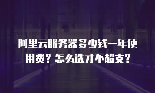 阿里云服务器多少钱一年使用费？怎么选才不超支？