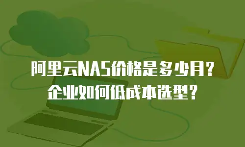 阿里云NAS价格是多少月？企业如何低成本选型？