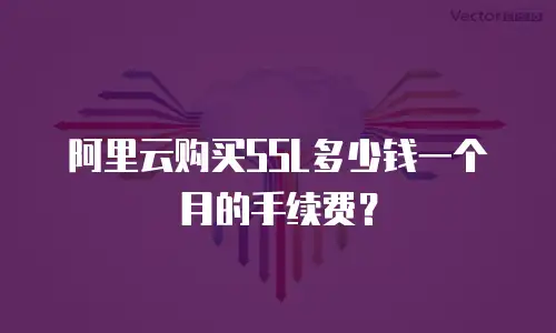 阿里云购买SSL多少钱一个月的手续费？
