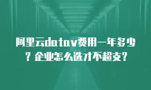 阿里云datav费用一年多少？企业怎么选才不超支？