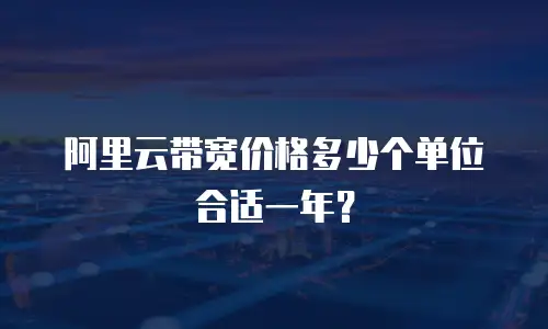 阿里云带宽价格多少个单位合适一年？