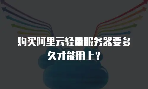 购买阿里云轻量服务器要多久才能用上？
