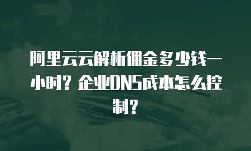 阿里云云解析佣金多少钱一小时？企业DNS成本怎么控制？