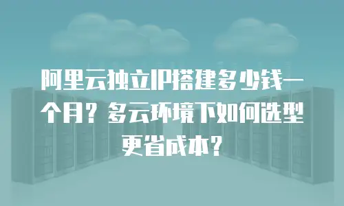 阿里云独立IP搭建多少钱一个月？多云环境下如何选型更省成本？