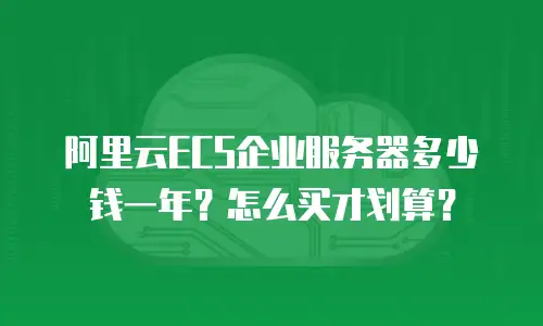 阿里云ECS企业服务器多少钱一年？怎么买才划算？