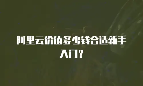 阿里云价值多少钱合适新手入门？