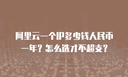 阿里云一个IP多少钱人民币一年？怎么选才不超支？