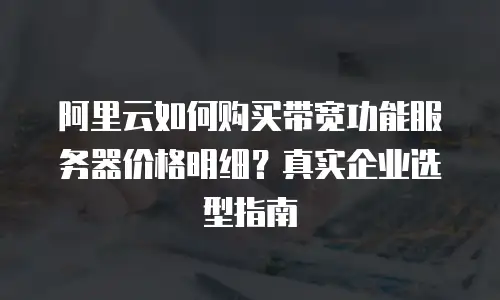阿里云如何购买带宽功能服务器价格明细？真实企业选型指南