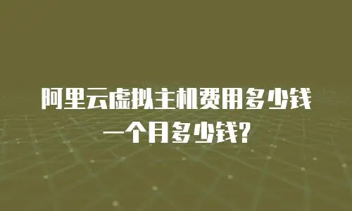 阿里云虚拟主机费用多少钱一个月多少钱？