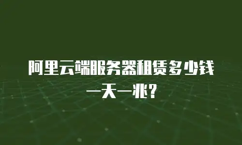 阿里云端服务器租赁多少钱一天一兆？