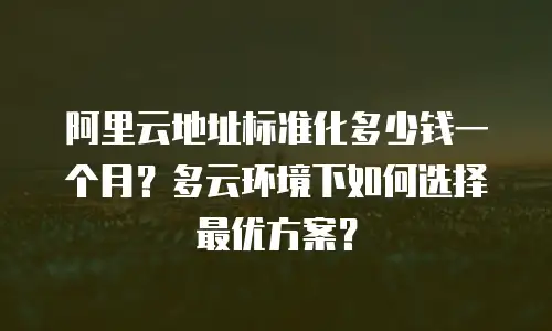 阿里云地址标准化多少钱一个月？多云环境下如何选择最优方案？