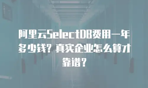 阿里云SelectDB费用一年多少钱？真实企业怎么算才靠谱？