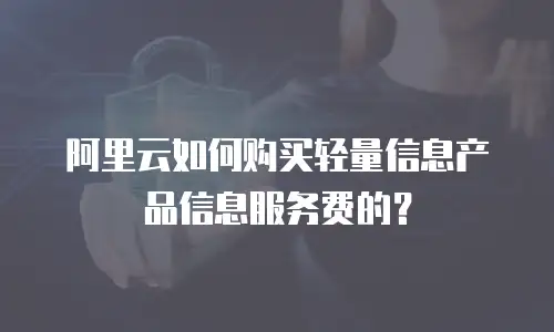 阿里云如何购买轻量信息产品信息服务费的？