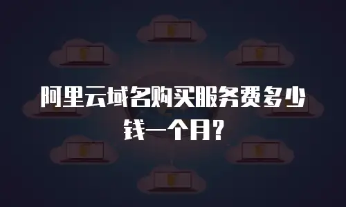 阿里云域名购买服务费多少钱一个月？