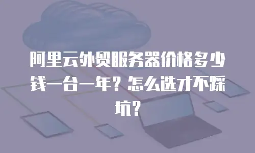 阿里云外贸服务器价格多少钱一台一年？怎么选才不踩坑？