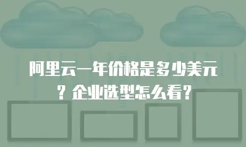 阿里云一年价格是多少美元？企业选型怎么看？