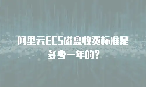 阿里云ECS磁盘收费标准是多少一年的？