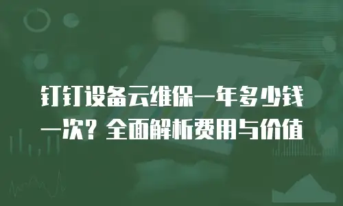 钉钉设备云维保一年多少钱一次？全面解析费用与价值