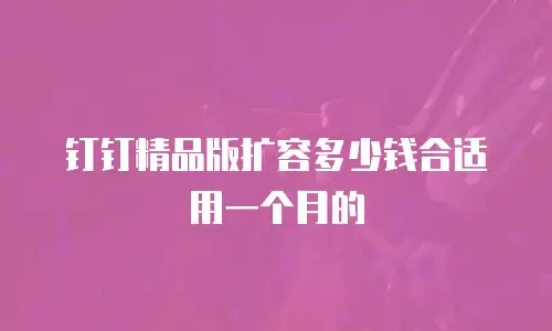 钉钉精品版扩容多少钱合适用一个月的