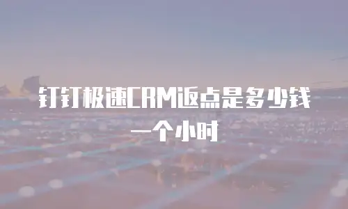 钉钉极速CRM返点是多少钱一个小时