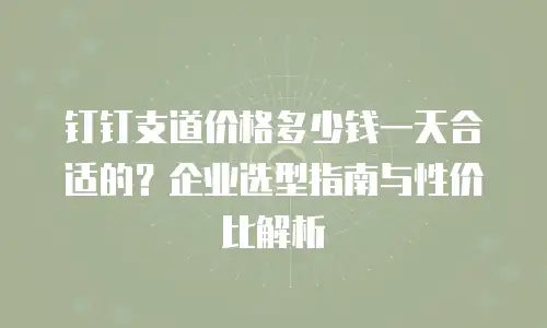 钉钉支道价格多少钱一天合适的？企业选型指南与性价比解析