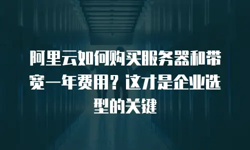 阿里云如何购买服务器和带宽一年费用？这才是企业选型的关键