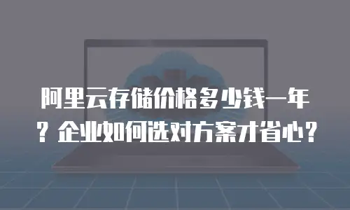 阿里云存储价格多少钱一年？企业如何选对方案才省心？