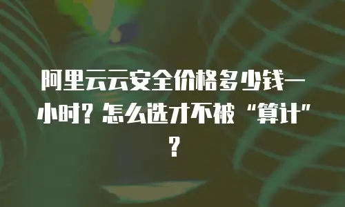 阿里云云安全价格多少钱一小时？怎么选才不被“算计”？