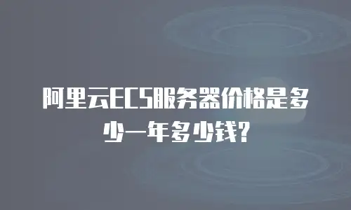 阿里云ECS服务器价格是多少一年多少钱？
