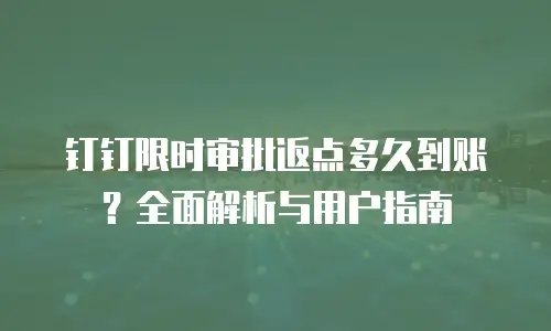 钉钉限时审批返点多久到账？全面解析与用户指南