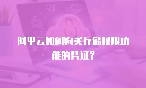 阿里云如何购买存储权限功能的凭证？