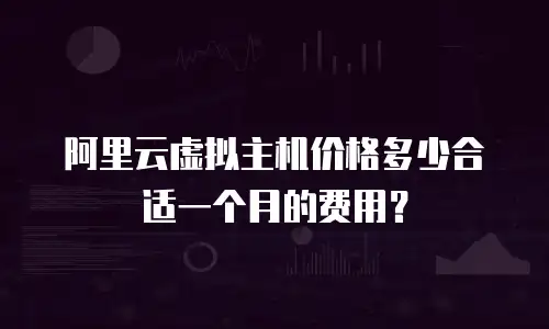 阿里云虚拟主机价格多少合适一个月的费用？